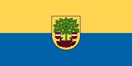 Flag Valmiera